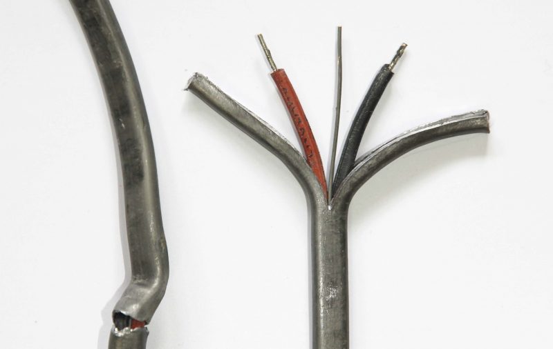 Live wire meaning of LIVE WIRE